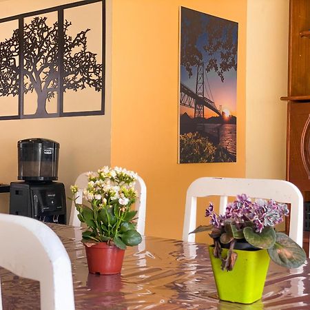 Picco Da Ilha Hostel Florianópolis Eksteriør billede